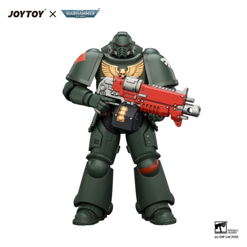Dark Angels Intercessor with Bolt Rifle, Bolt Pistol and Chainsword