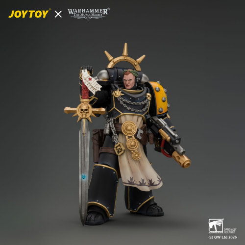 Imperial Fists Champion Consul with Combi-Melta and Power Sword