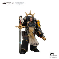 Imperial Fists Champion Consul with Combi-Melta and Power Sword